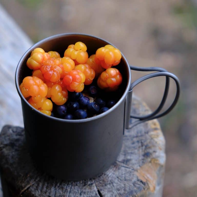 Hand picked cloudberries and blueberries from Lapland